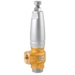 Pratissoli S455 Safety Relief Valves