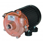 AMT 6in. Engine Driven Trash Pumps