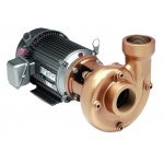 AMT Heavy Duty Industrial Coolant Pumps